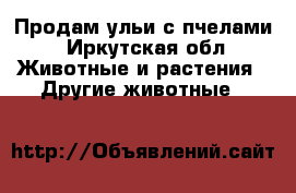 Продам ульи с пчелами - Иркутская обл. Животные и растения » Другие животные   